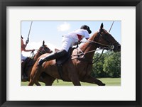 Framed Polo nearside swing