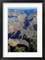 Framed Grand Canyon National Park with Green Trees