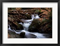 Framed Autumn at Mt. Tammany