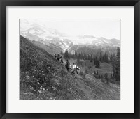 Framed People on horseback, on trail, Van Trump Park, Mt. Rainier National Park, Washington