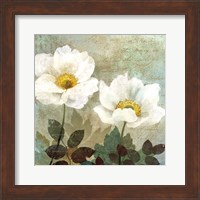 Framed Anemone II