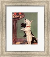 Framed Terrier Trouble V