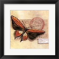 Framed Le Papillon II