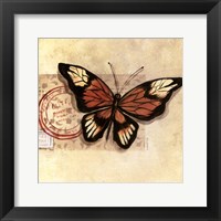 Framed Le Papillon III