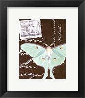 Le Papillon Script I Framed Print