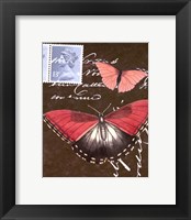Le Papillon Script II Framed Print