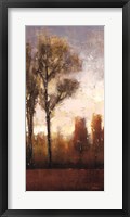 Tall Trees II Framed Print