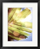 Tropical Daydream I Framed Print