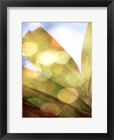 Tropical Daydream II Framed Print