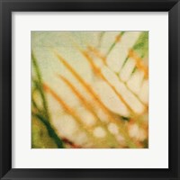 Tropical Texture I Framed Print