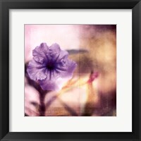 Framed Purple Tranquility I