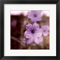 Purple Tranquility II Framed Print