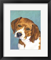 Dog Portrait-Beagle Framed Print