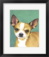 Framed Dog Portrait-Chihuahua