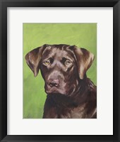 Dog Portrait-Chocolate Framed Print