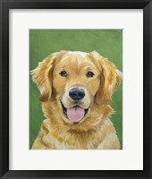 Dog Portrait-Golden Framed Print
