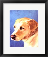 Framed Dog Portrait-Yellow Lab