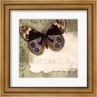 Framed Butterfly Notes IV