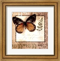 Framed Butterfly Notes V