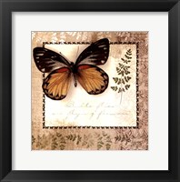 Framed Butterfly Notes V