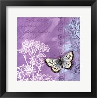 Framed Butterfly Notes VIII