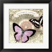 Butterfly Notes XII Framed Print