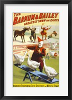 Framed Barnum & Bailey Performing Geese, Roosters and Musical Donkey