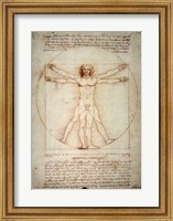 Framed Vitruvian Man