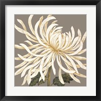 Framed 'Glorious Whites I' border=