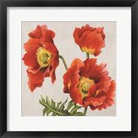 Framed Poppies on Silk