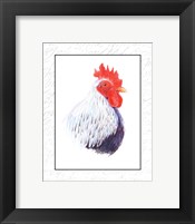 Rooster Insets II Framed Print