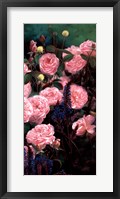 Framed Rose Garden II