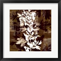 Prairie Mix III Framed Print