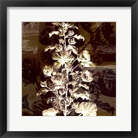 Prairie Mix IV Framed Print