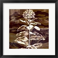 Prairie Mix VI Framed Print