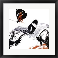 Butterfly Inflorescence III Framed Print