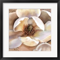 Framed Magnolia Masterpiece II