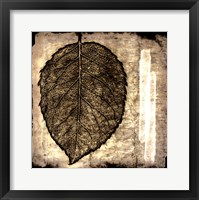 Framed Fall Leaves III