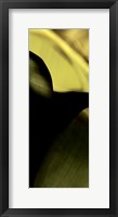 Leaf Detail II Framed Print