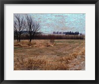 Fields I Framed Print