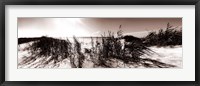 The Wind in the Dunes I Framed Print