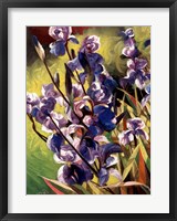 Framed Iris Garden I