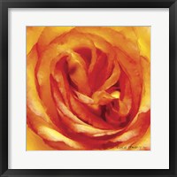 Framed Painterly Flower I