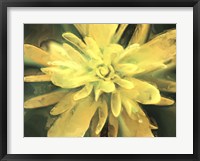 Framed Painterly Flower VII