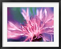 Framed Painterly Flower VIII