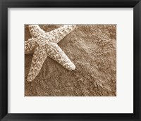 Framed Starfish in the Sand