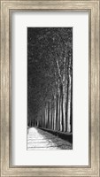 Framed Oak Lane II