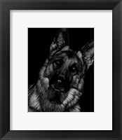 Framed Canine Scratchboard II