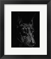 Framed Canine Scratchboard XIII