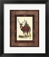 Framed Rustic Deer